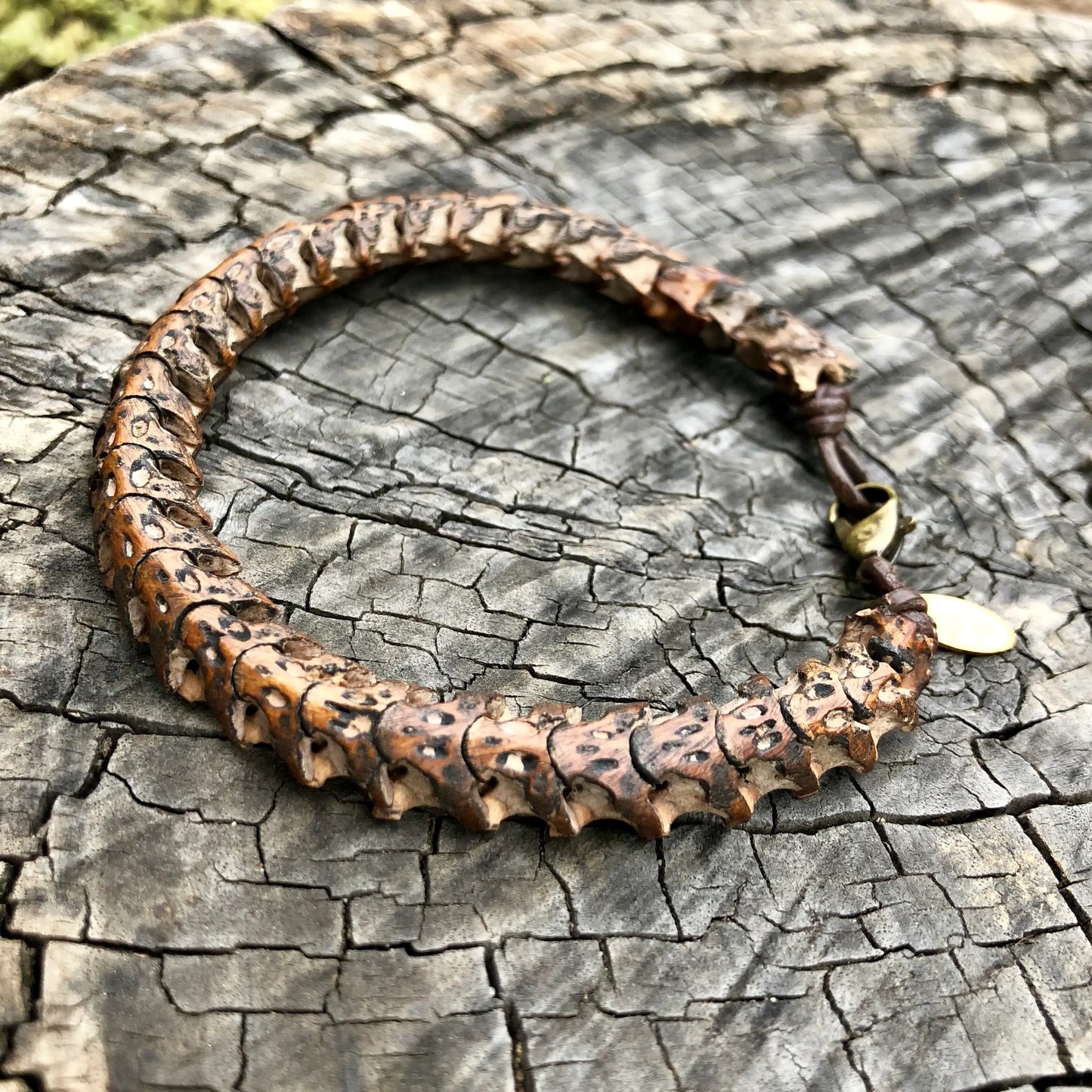 Snake Vertebrae Bracelet