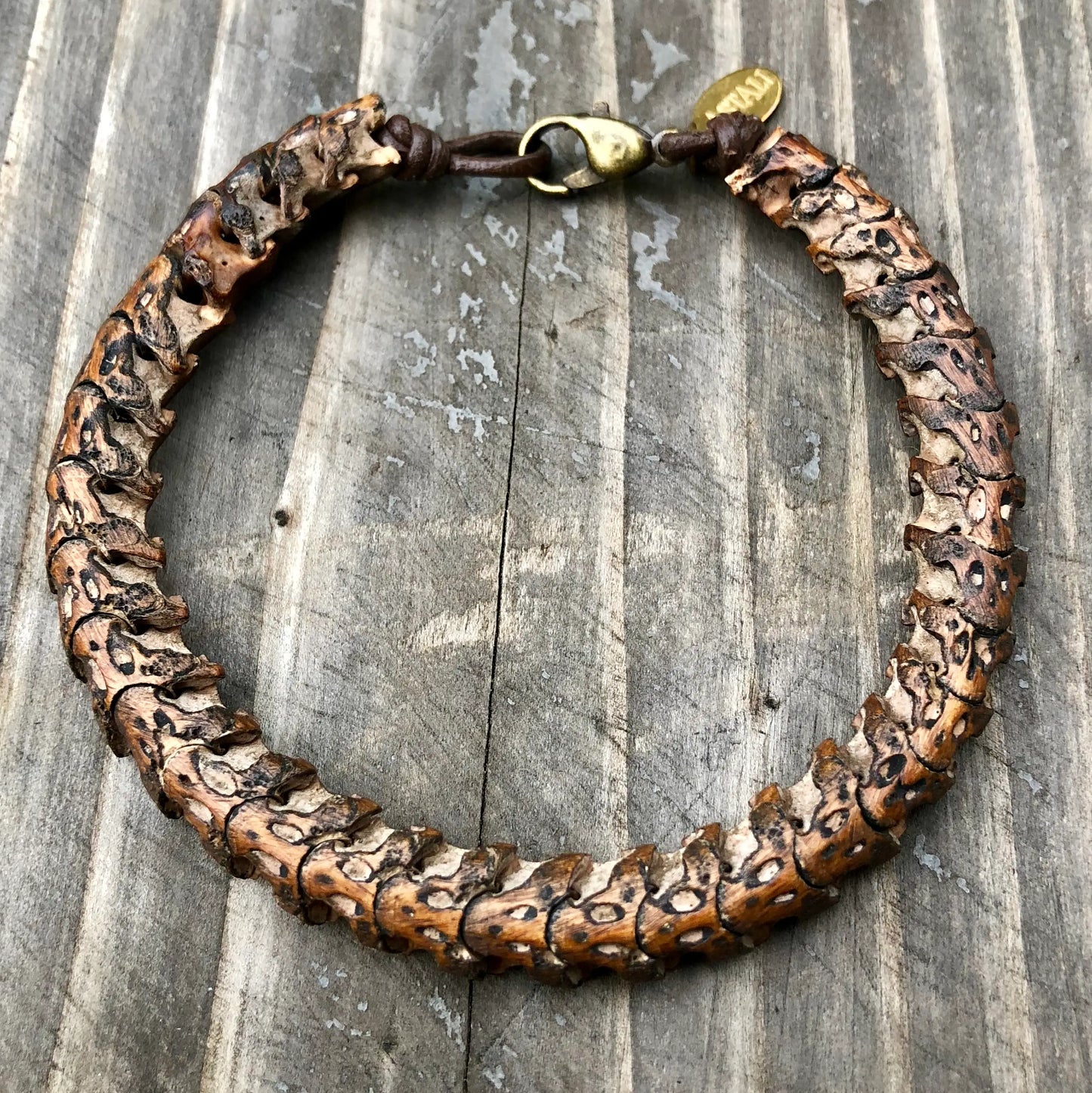 Snake Vertebrae Bracelet